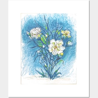 Carnation Flowers color pencil Posters and Art